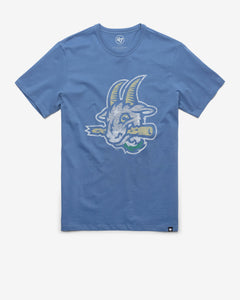 CADET BLUE