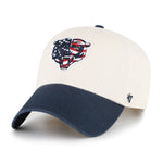CHICAGO BEARS FLAG FILL LOOP '47 CLEAN UP