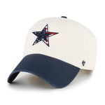 DALLAS COWBOYS FLAG FILL LOOP '47 CLEAN UP