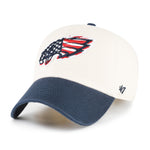 PHILADELPHIA EAGLES FLAG FILL LOOP '47 CLEAN UP