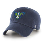 Dallas Wings Flat '47 Clean Up
