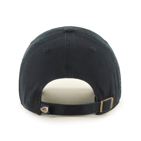 AKRON RUBBERDUCKS '47 CLEAN UP